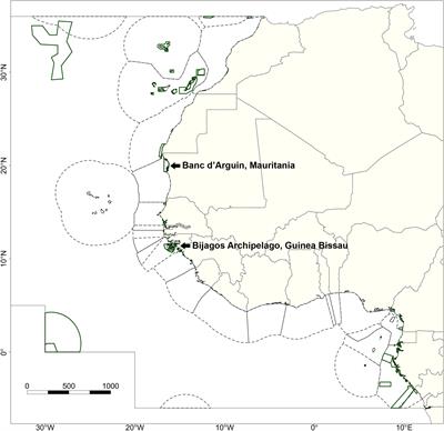 Industrial Fishing Near West African Marine Protected Areas and Its Potential Effects on Mobile Marine Predators